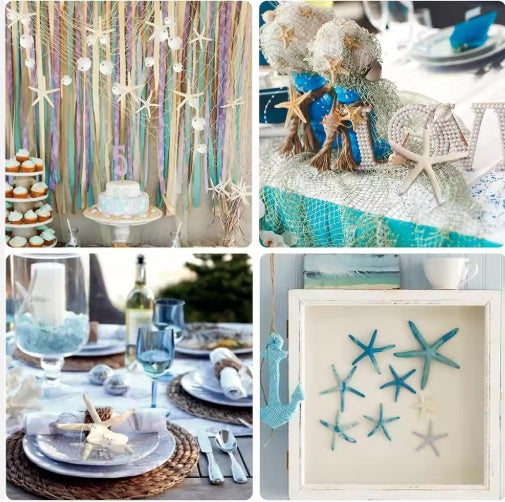 15-Piece Natural Starfish Christmas Ornaments — Coastal Holiday Tree Décor